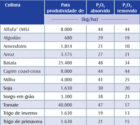 Fósforo importância manejo e sintomas de deficiência MAIS SOJA