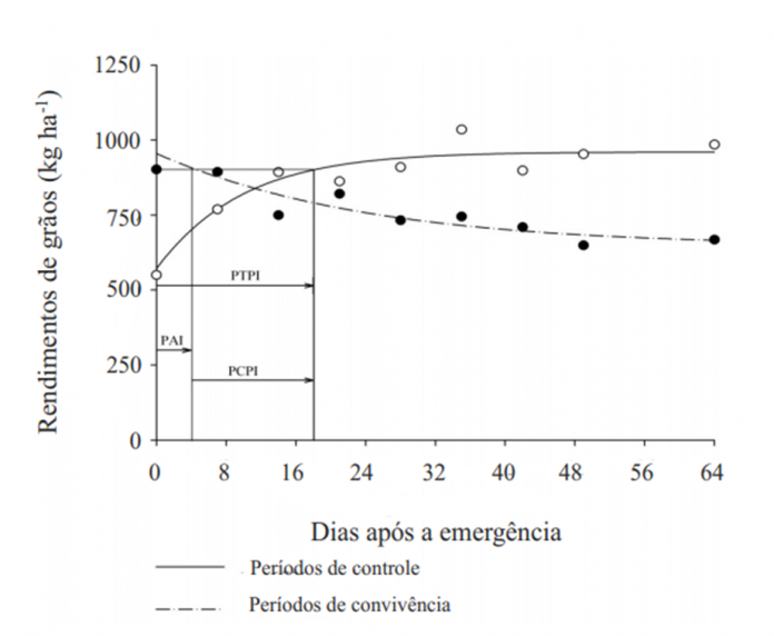 Per Odo De Interfer Ncia De Plantas Daninhas No Feij O Comum