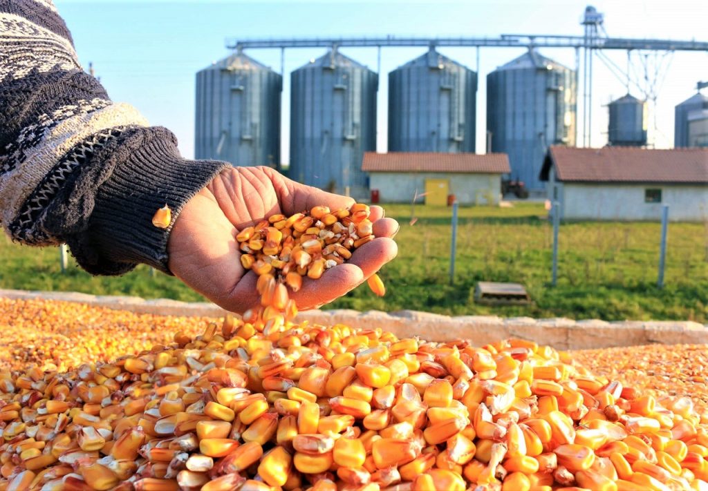 Produção de etanol de milho avança no país como opção sustentável e de