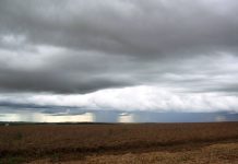 Aprosoja MT alerta que chuvas desafiam colheita da soja em Mato Grosso