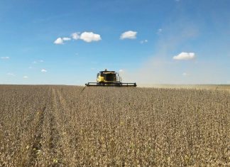 Fazenda campeã do CESB no Sudeste aposta em biológicos para superar 122 sc/ha