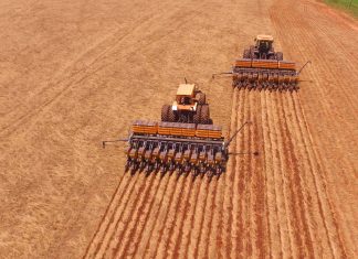 Plantabilidade da soja: Velocidade e profundidade de semeadura estão entre os atributos com maior influência na distribuição de sementes