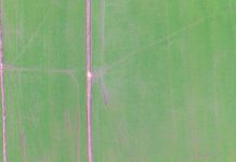 RS: Planície Costeira Externa é a primeira região a finalizar semeadura de arroz no Estado