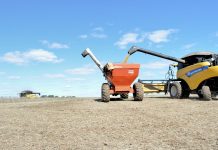 Crédito rural empresarial atinge R$ 404 bilhões no Plano Safra 2025/2026