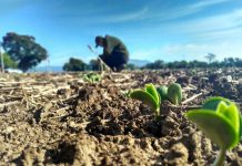 Bancada articula para votar endividamento rural e diferencial aos biocombustíveis, diz FPA