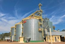 Comercialização da safrinha de milho 2026 atinge 17,9% no Centro-Sul do Brasil, diz Safras