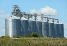 Realização de lucros em Chicago deve reduzir negócios com soja no Brasil