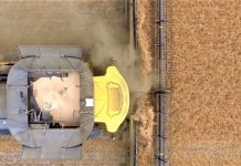 Soja assume liderança de vendas externas em Mato Grosso do Sul