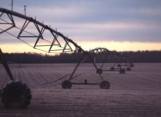 Irrigação transforma produtividade e garante mais segurança ao produtor rural
