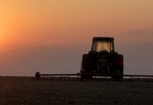 Trabalho no campo: manutenção preventiva de máquinas agrícolas evita prejuízos na safra