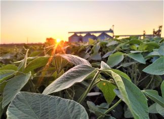 Sob relatoria de Lupion, CAPADR aprova novo marco para renegociação de dívidas rurais