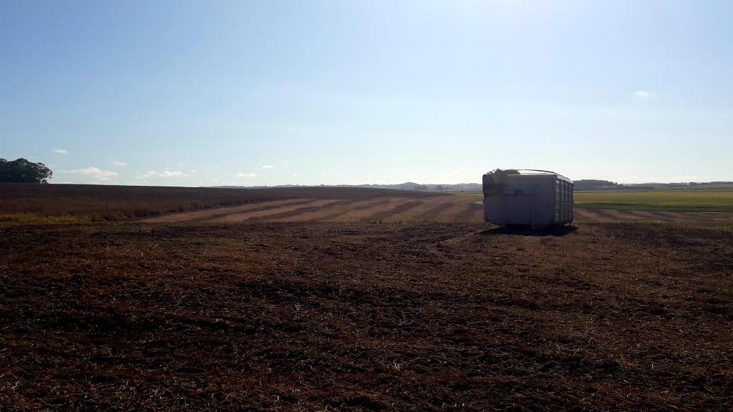 soja lavoura paisagem 3 21