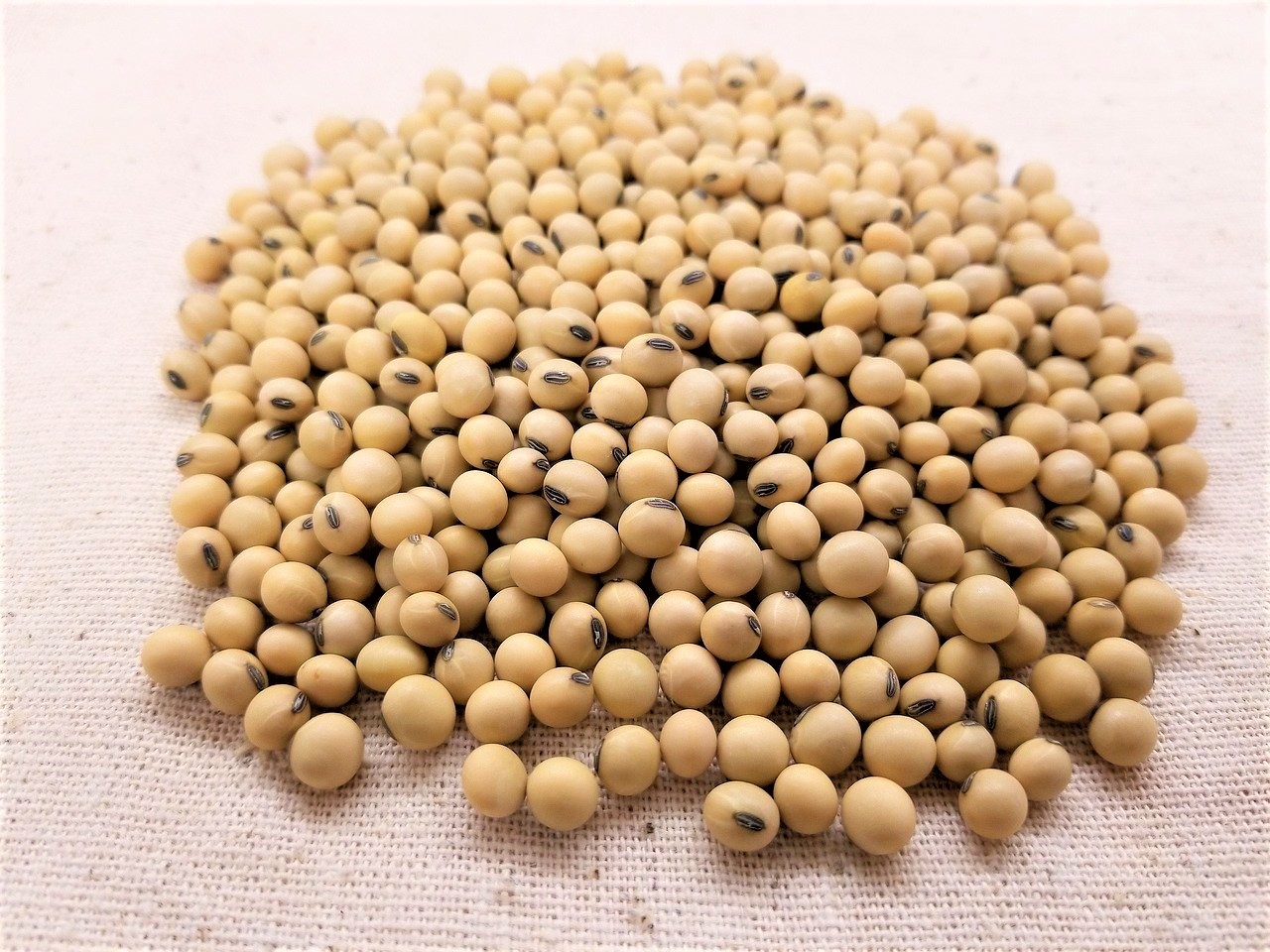 Produção de soja brasileira aumentou mais de 500% em 30 anos - MAIS ...