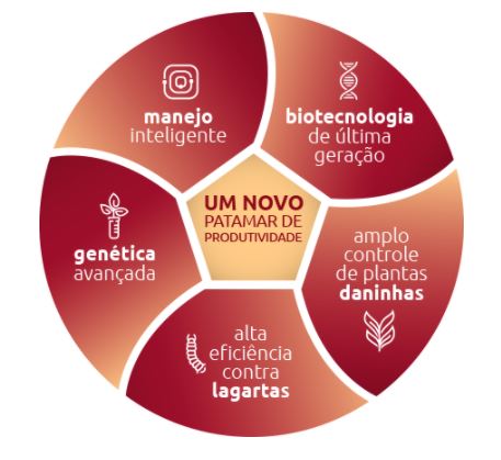 Fonte: Plataforma intacta 2 Xtend