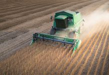 SOJA/CEPEA: Colheita da safra 25/26 é iniciada; expectativa é de boa produtividade