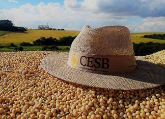 Sojicultores ganham mais tempo para se inscrever em tradicional iniciativa do CESB