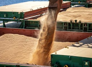 Aumento no embarque de arroz é insuficiente para conter perdas de exportação em fevereiro