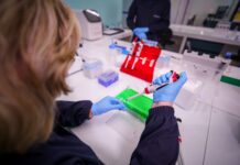 Registros de bioinsumos revelam avanço de novas cepas e tendências genéticas na agricultura
