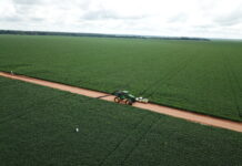 Atenção à inoculação e nutrientes no sulco de plantio