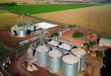 Tecnologia amplia eficiência e segurança na gestão de armazéns agrícolas