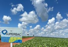 Superbac ingressa no mercado de biodefensivos com lançamento de nova linha de produtos