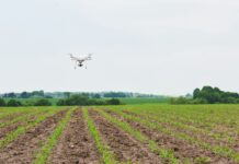 Agricultura de precisão transforma o campo brasileiro e aproxima sustentabilidade do consumidor urbano