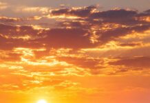 Como produzir mais em 2026?