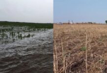 Dezembro chuvoso deve alterar ritmo das colheitas e pressionar produtividade