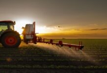 Balanço do Ano do Agro: Fertilizantes e bioinsumos redefinem a produtividade no campo brasileiro em 2025