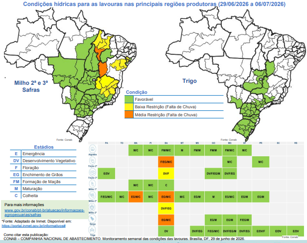 Colheita do algodão atinge 3,8% da área no país com ritmo inicial lento