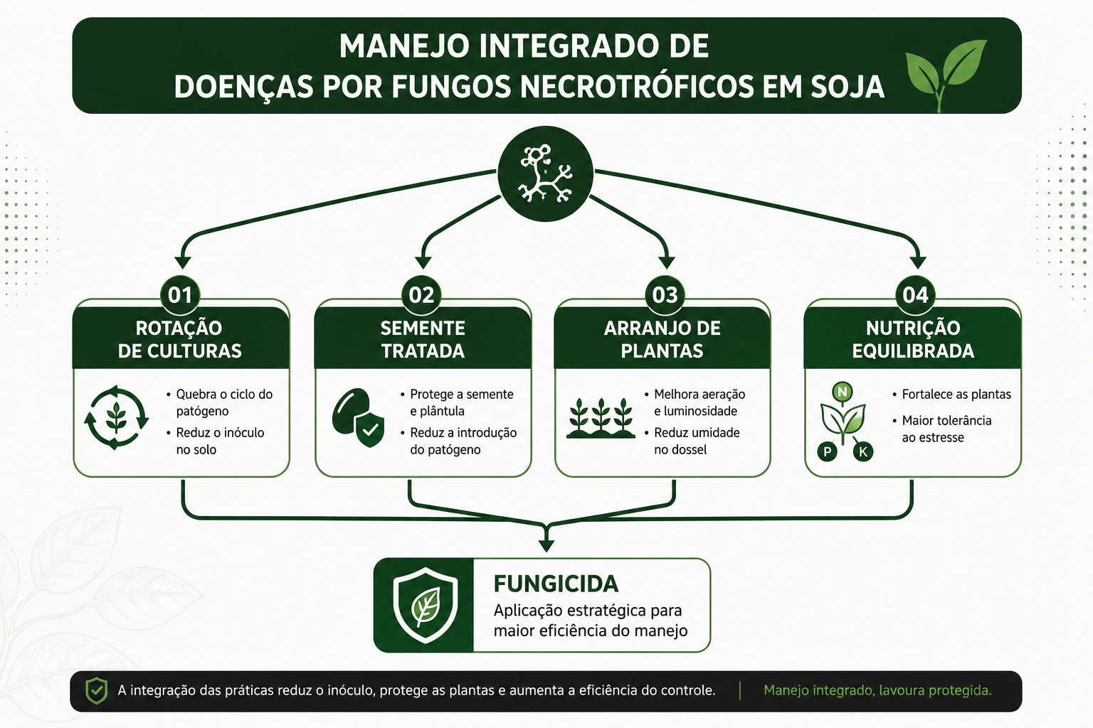 Doenças em soja: controle de fungos necrotróficos exige medidas integradas de manejo
