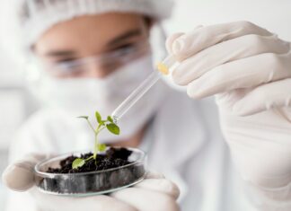 A era do biohacking agrícola: pesquisa brasileira inova na produção de bactérias benéficas para a soja