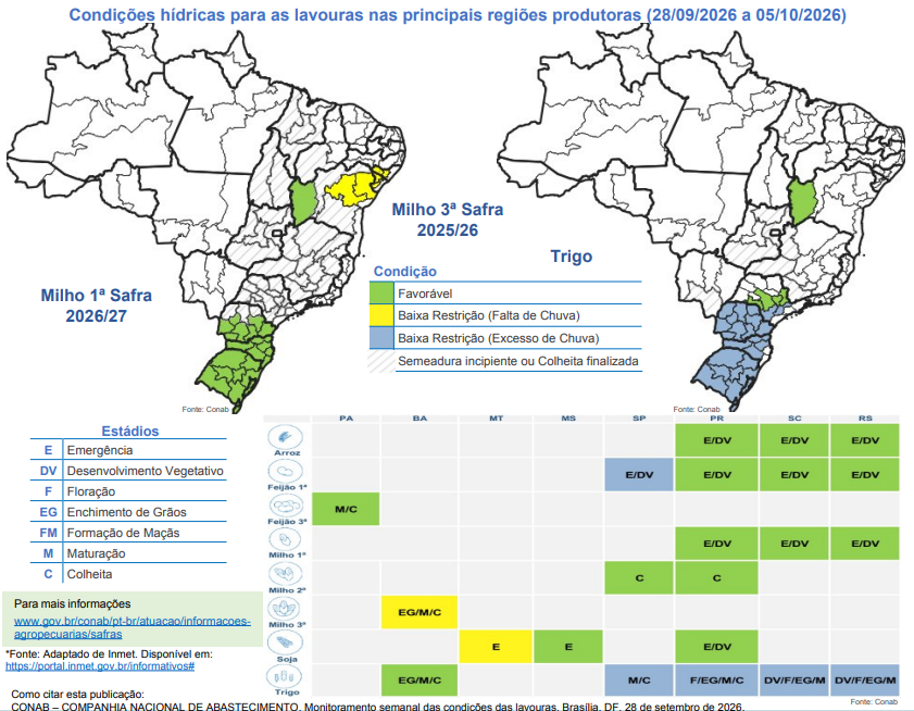 Semeadura da soja atinge 3,9% no Brasil com chuva trazendo segurança em MT e tempo firme no PR