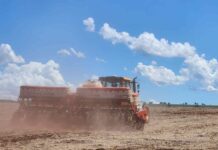 Com o Plano Safra já em andamento, produtor precisa de planejamento para acesso ao crédito